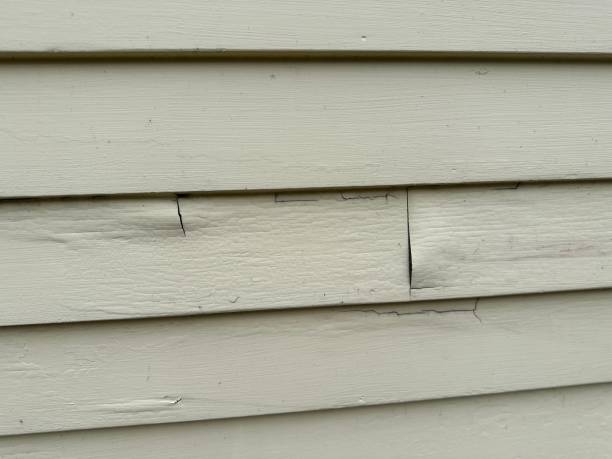 Best Custom Trim and Detailing for Siding  in Cooper, TX